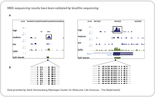 mbd results