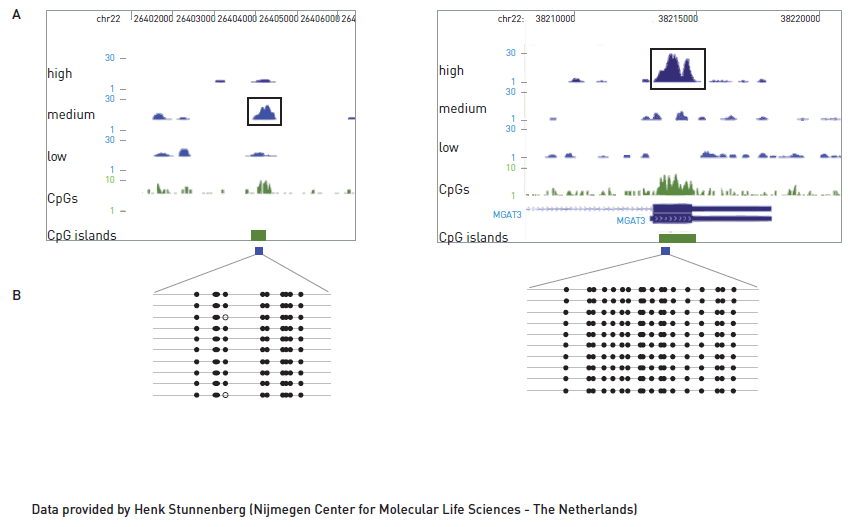 MBD-sequencing results have been validated by bisulfite sequencing