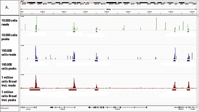 Reliable detection of enrichments in ChIP-seq figure 1