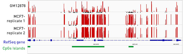 dna methylation