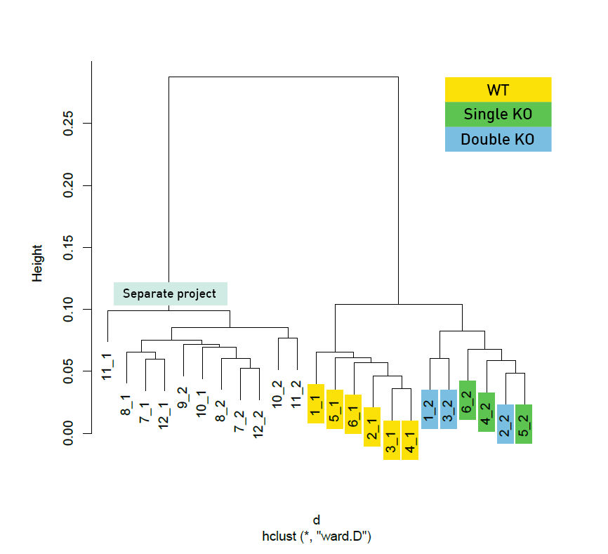DNA methylation data from RRBS V2