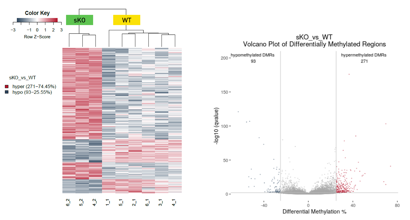 DNA methylation data from Premium RRBS kit V2