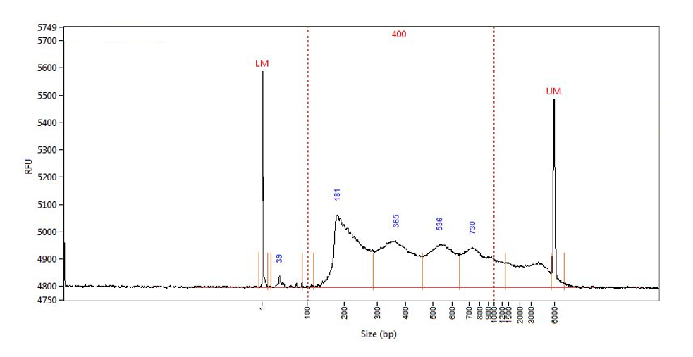 Tn5 transposase Enxzymes