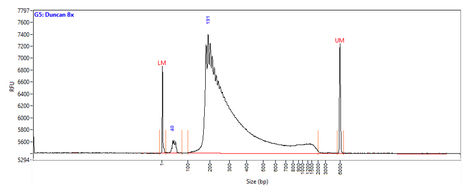 purified Transposase enzymes 