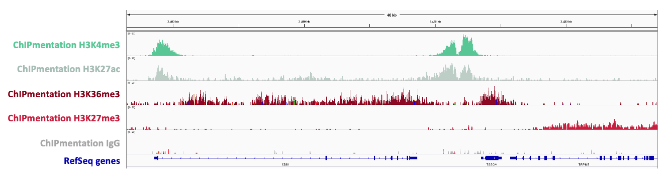 pA-Tn5 Transposase Enzymes