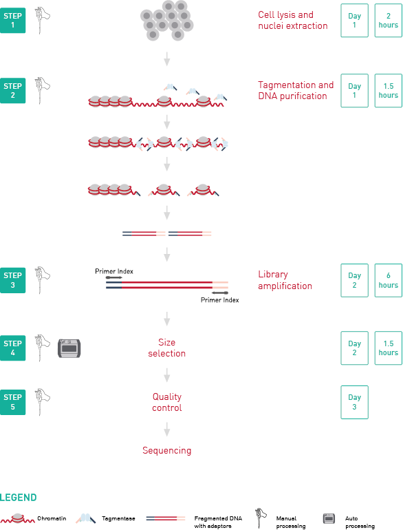 ATAC-seq kit workflow