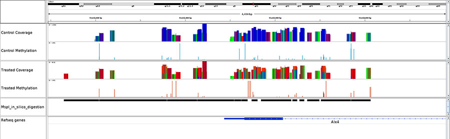 DNA Methylation Profiling Service