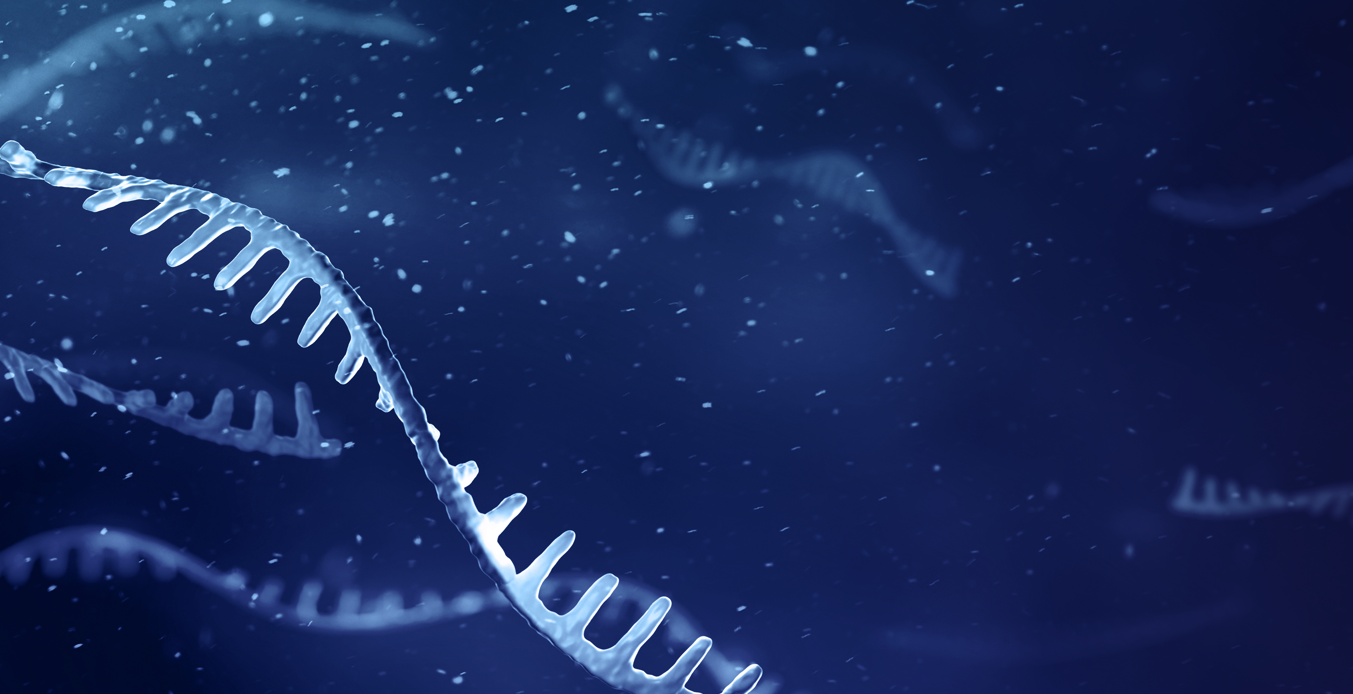 Banner showing multiple sizes rna strands