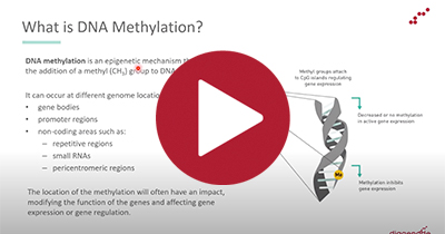 Webinar series: Bioinformatics for DNA methylation studies