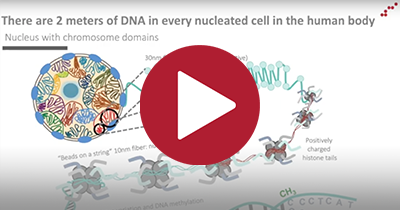 Webinar series: Epigenetic Analyses of Human Left Atrial Tissue Identifies Gene Networks Underlying Atrial Fibrillation