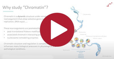Webinar series: Bioinformatics for chromatin studies