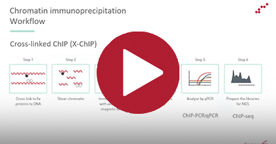 Webinar series: Advanced methods for chromatin analysis