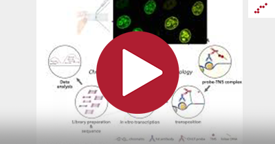 Webinar series: ChIL technology for lower input epigenomics with high genome coverage
