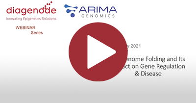 Webinar series: 3D Genome Folding and Its Impact on Gene Regulation & Disease