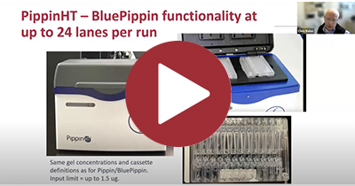 Webinar series: Get the optimal size distribution for long read sequencing by combining the Megaruptor 3 and the Sage Pippin systems