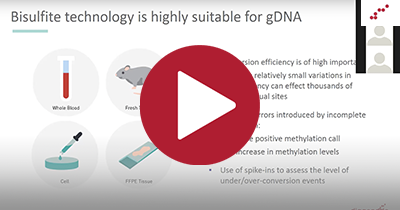 Webinar series: DNA methylation in biofluids: from genome-wide studies to targeted approaches